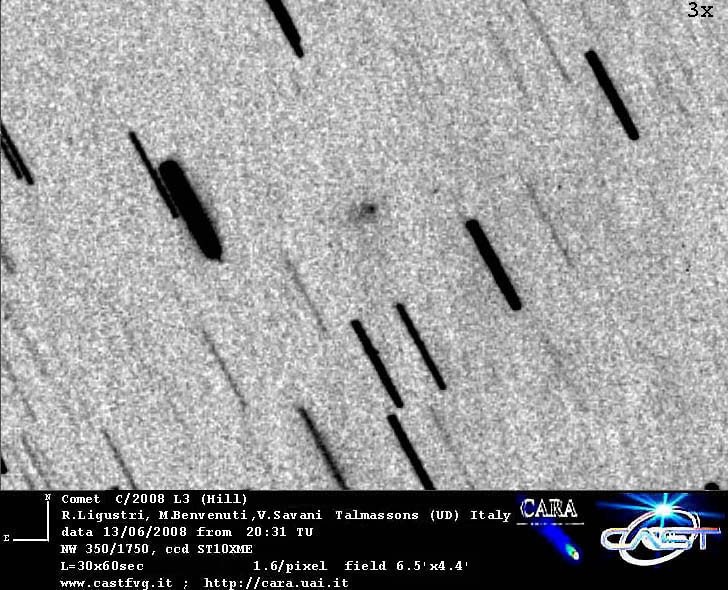 cometa-ligustri.jpg