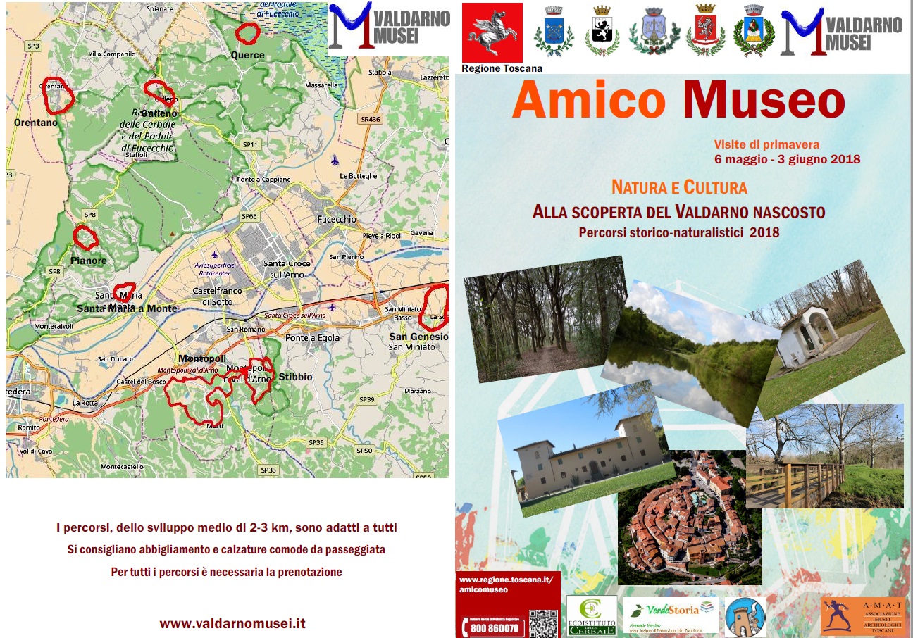 amico-museo1.jpg