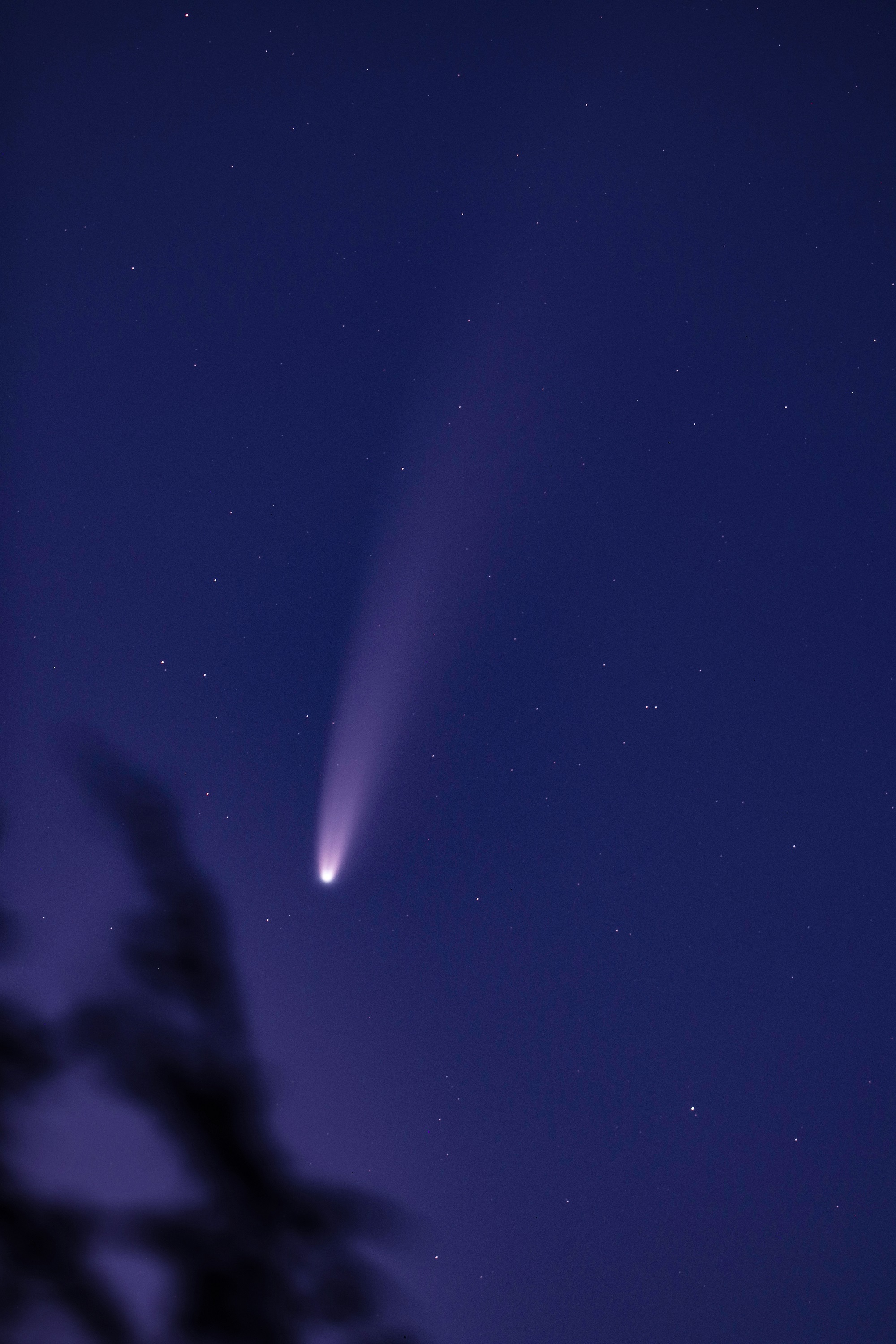 cometa-5.jpg