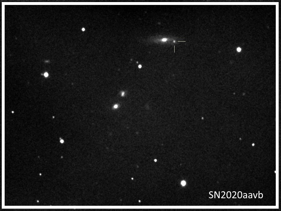 sn2020aavb_ngc3697.jpg